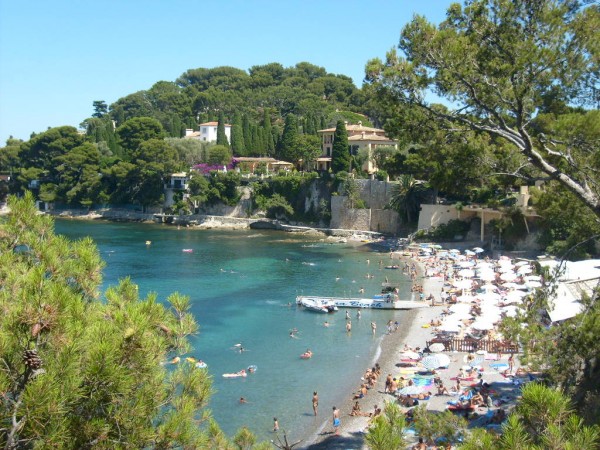 plaz