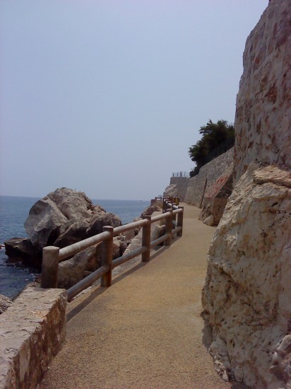 DSC00546