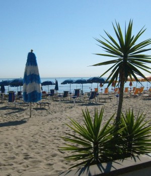 plazuvod