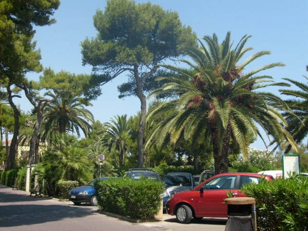 promenada