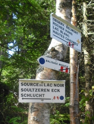vosges