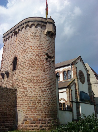 DSC00855