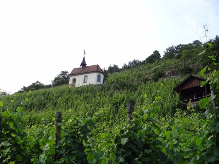 DSC02719uvodni