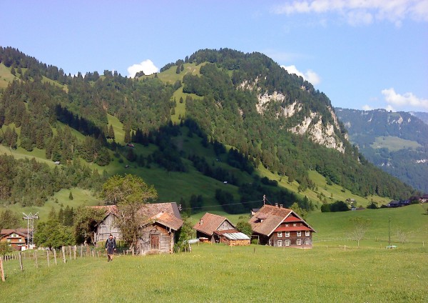 DSC06218