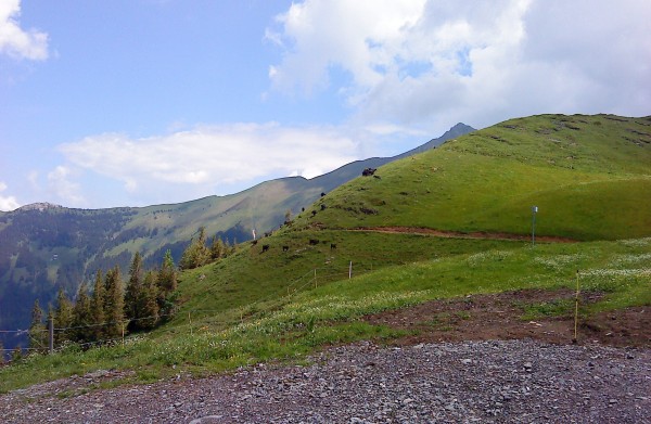 DSC06258